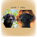 Corvin und Holly