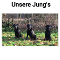 Unsere Jung´s