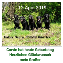 Corvin wird 8