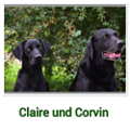 Claire und Corvin