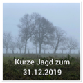 Jagd 31.12.2019