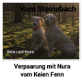 vom Steinebach Bela, Nura