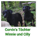 Winnie und Cilly